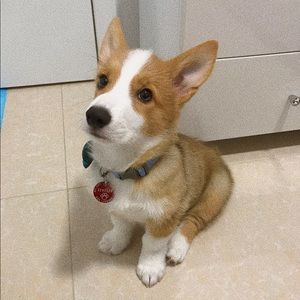 Meet your Posher, Lori